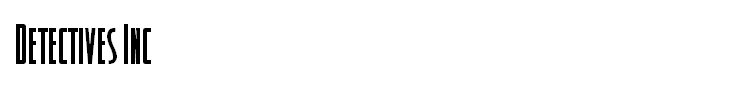 Detectives Inc
