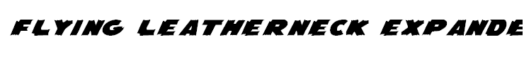 Flying Leatherneck Expanded