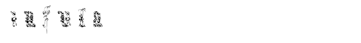 Infula