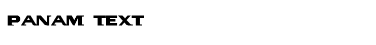 PanAm Text