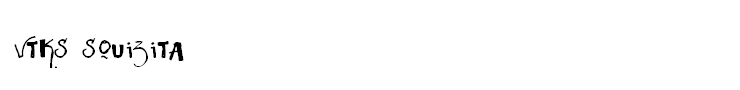 Vtks Squizita